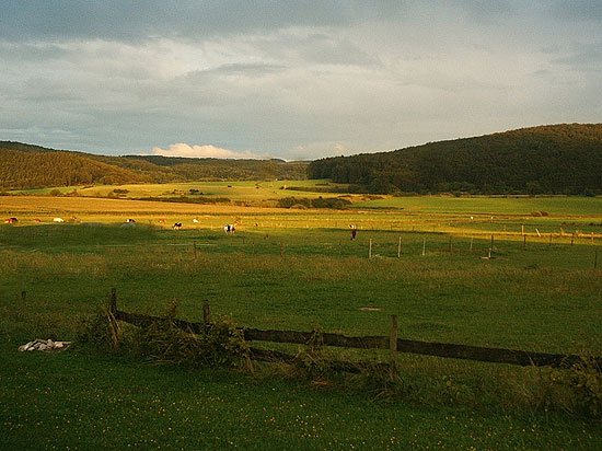 Fasten in der Eifel