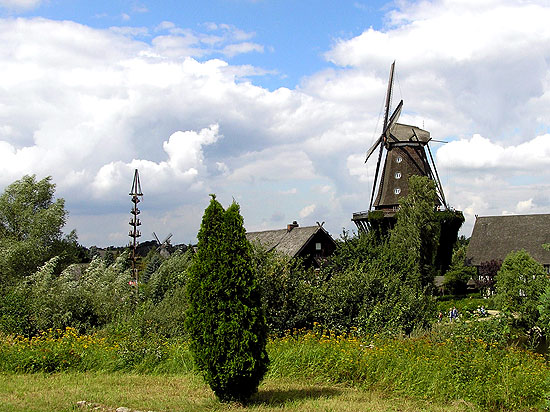 Wandern Lneburger Heide