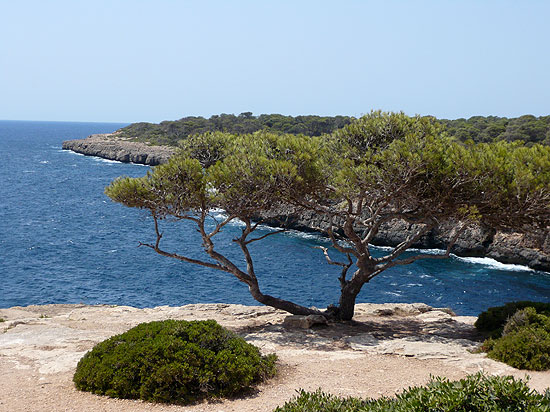 Wandern auf Mallorca