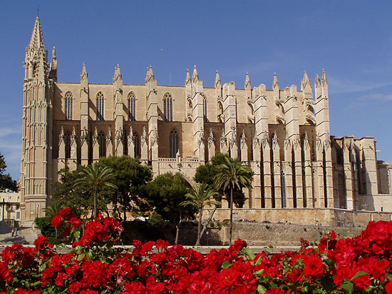 Mallorca Kathedrale