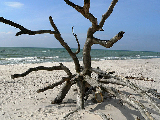 Wandern in Mecklenburg Vorpommern