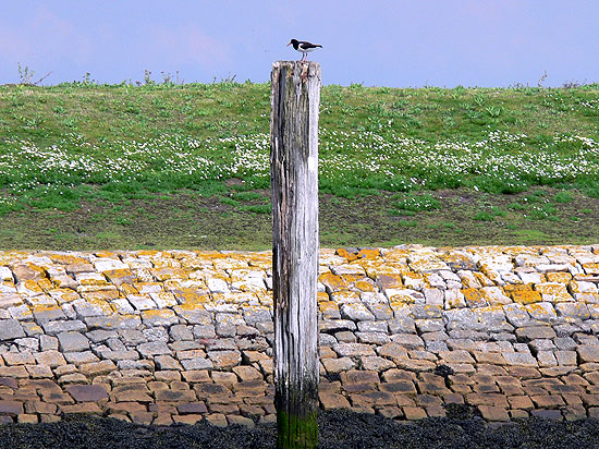 Fasten auf Norderney