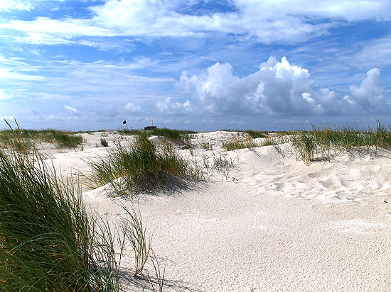 Wandern an der Nordsee