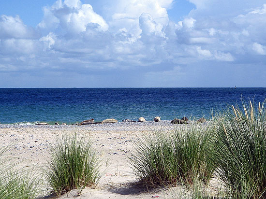 Wandern am Strand