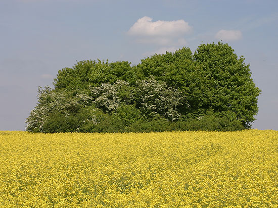 Fasten im Saarland