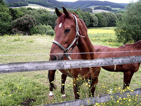 Wandern Sauerland