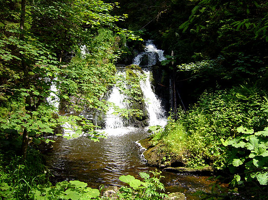 Fasten Schwarzwald