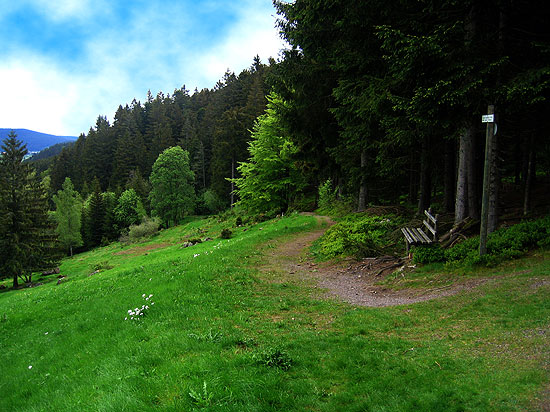 Wandern Schwarzwald