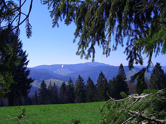 Belchen