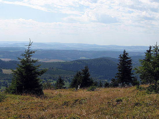 Fasten im Thringer Wald