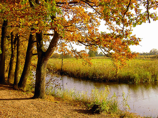 Fastenwandern Herbst